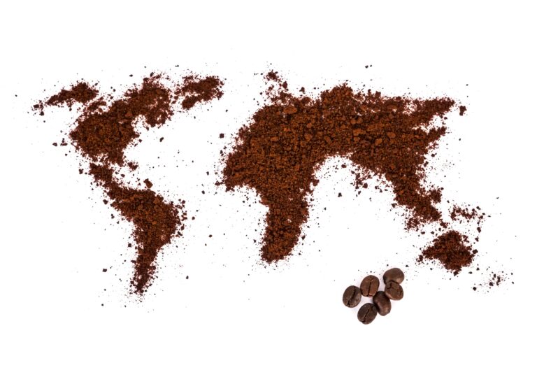 Michele Sergio - il viaggio del caffè