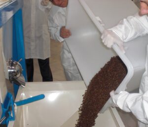 lavoro nella torrefazione 
