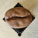 Il chicco di caffè realistico