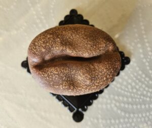 chicco di caffè realistico